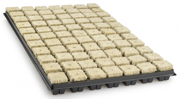 Grodan Anzuchtmatte mit Plastikuntersatz 1Kt mit 18 Stk je 77Würfel Details 1